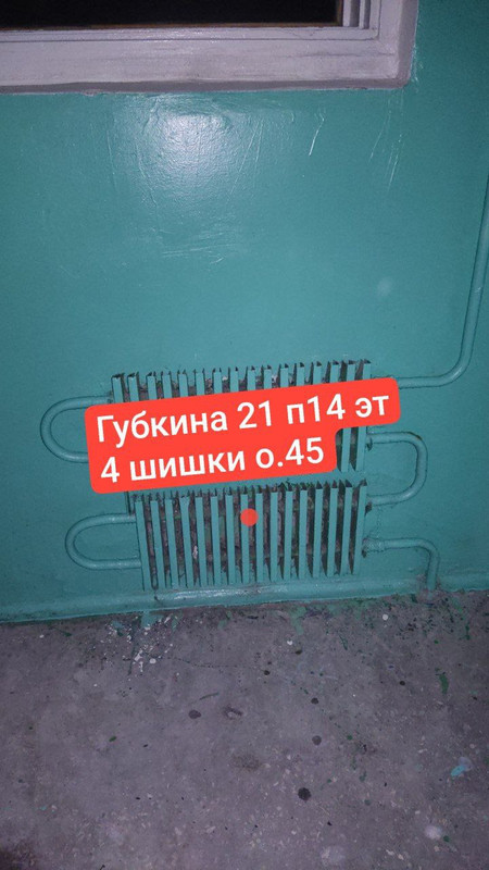 IMG 20251206 101641 939