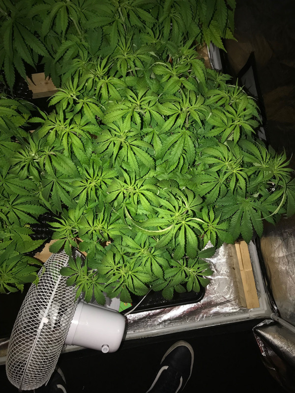 0B8824E8-1A52-4C23-8844-AF08B6FDE179