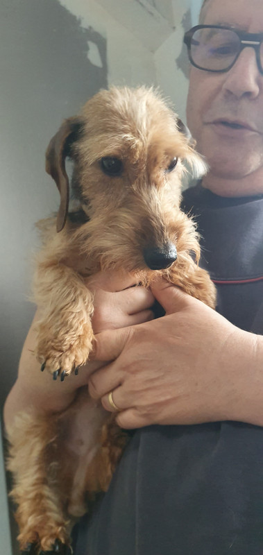 [Image: 20230512-193436.jpg]