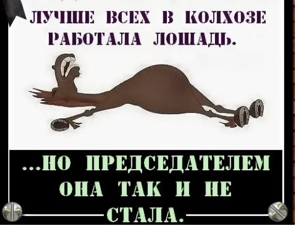 Лучше всех в колхозе работала лошадь но председателем так и не стала картинка