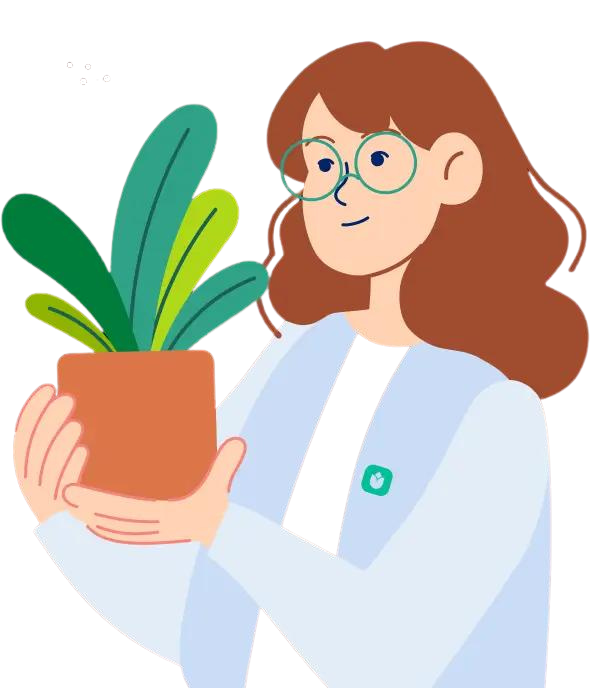 Feature illustration