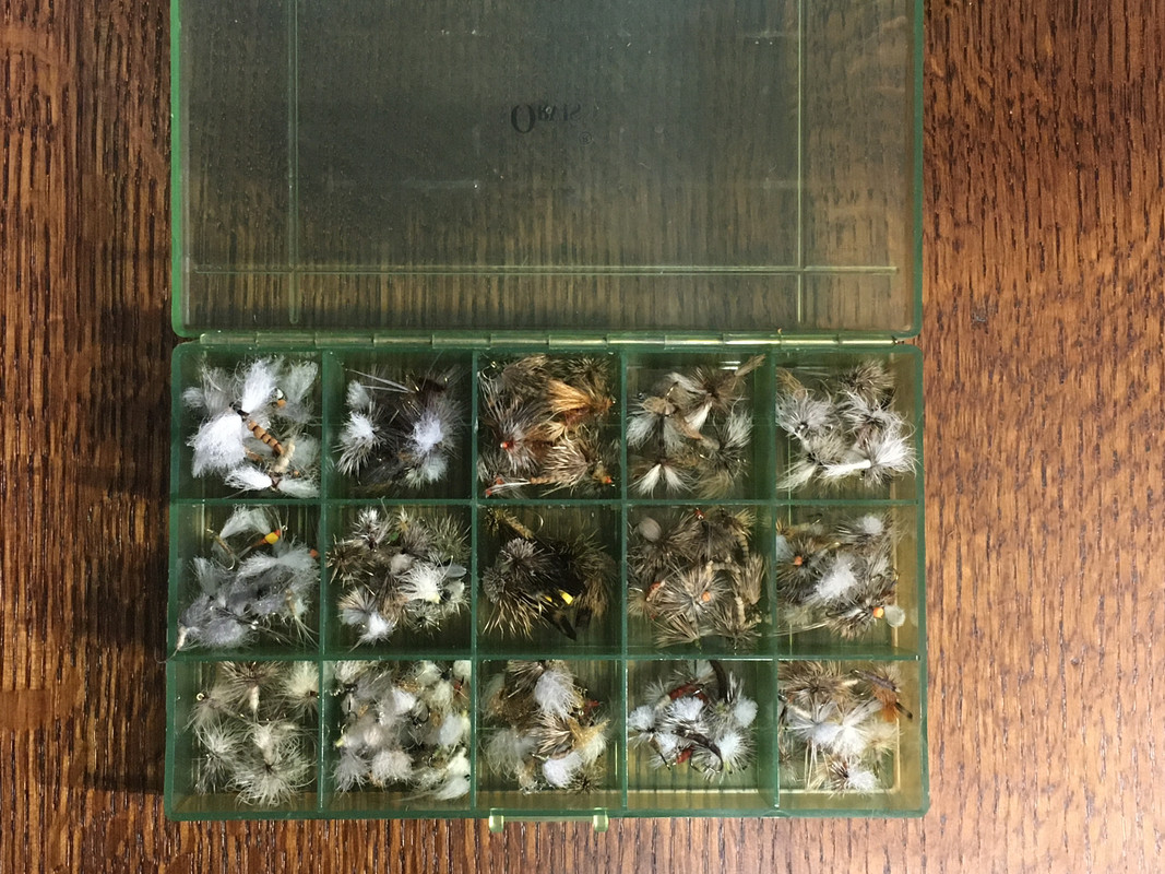 168F77CF-047D-4B19-B5A9-0722F6060F57