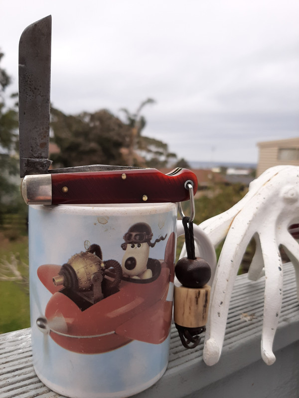 20191007-124528.jpg