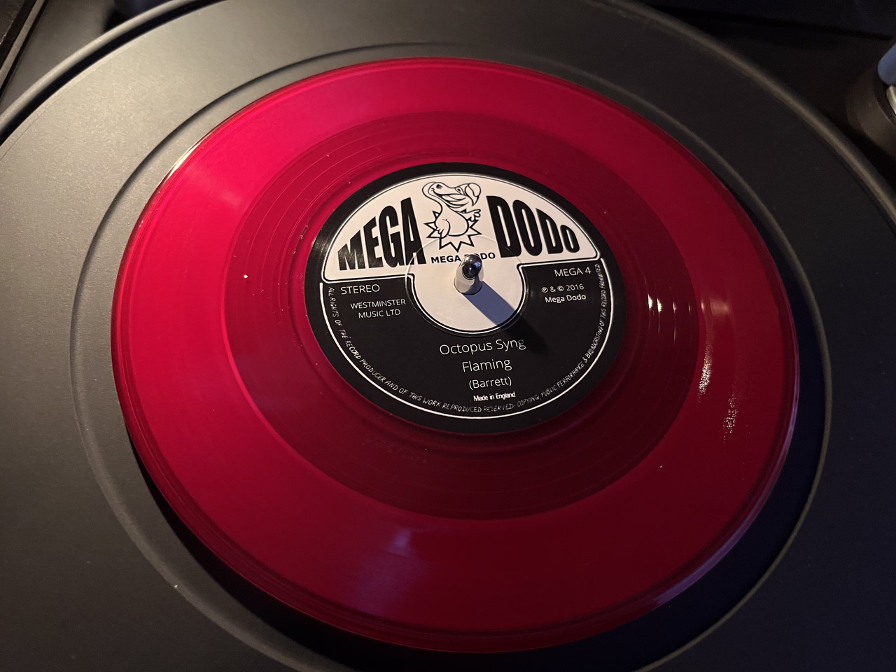 [Bild: IMG-0472.avif]