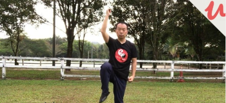 8 Basic Tai Chi Movements for Better Balance, Reduces Falls