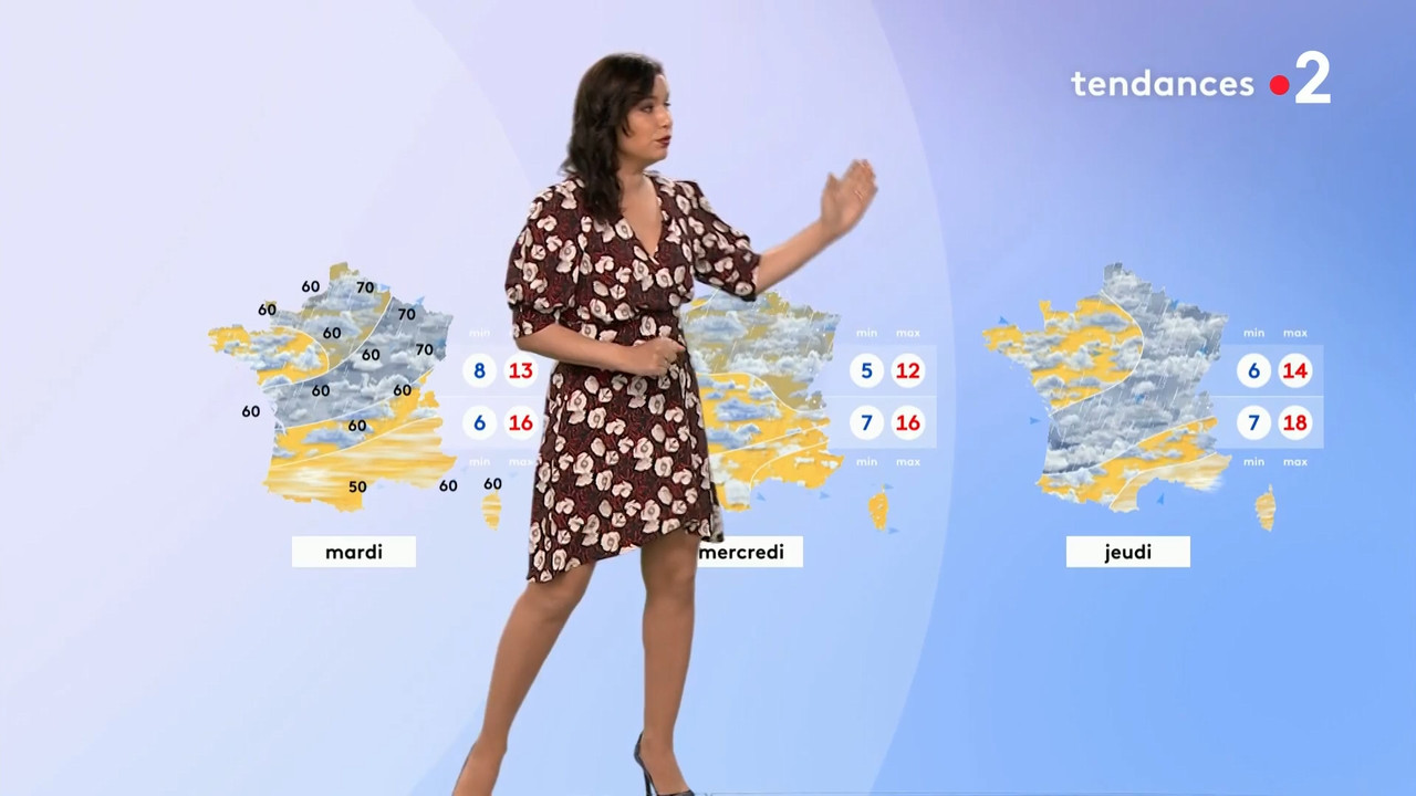 2021-05-01_12_55_Fr2_Meteo.mp4_snapshot_08.06.419