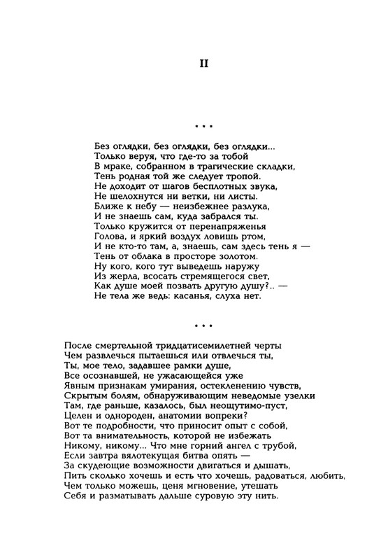 Mashevskij-Aleksej-Sny-o-jablochnom-gorode-page-0015