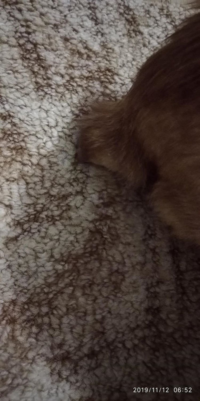 2DD7F4BA-CB32-447D-A236-AC187F0F8D29