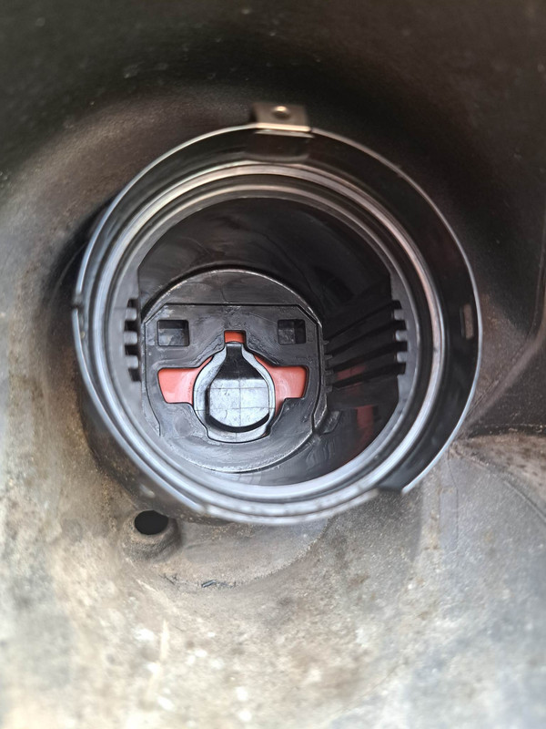 352902256_262156193164162_8881280899315138119_n