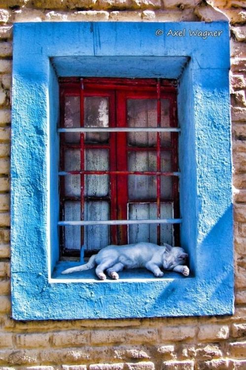 blue-window-sill.jpg