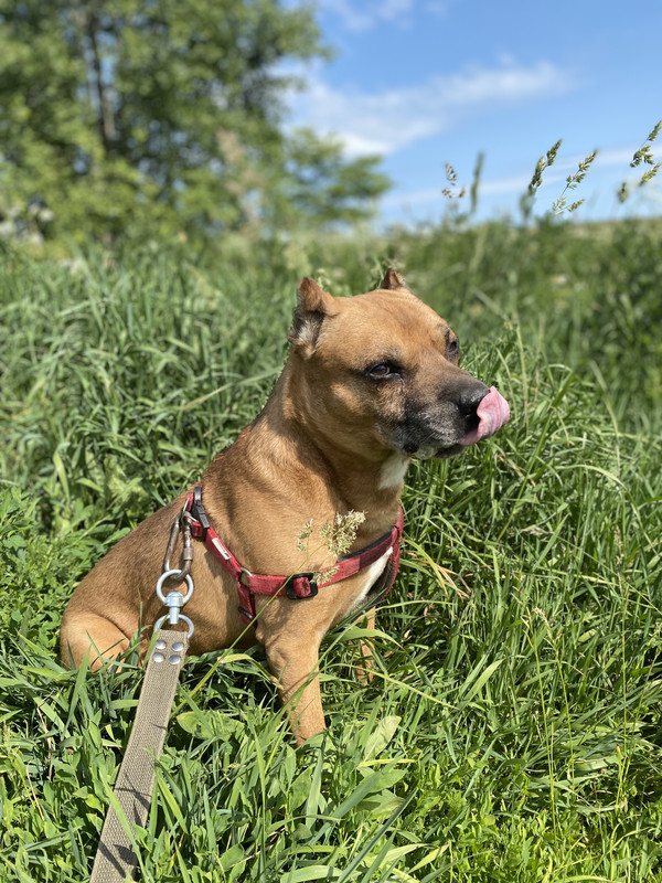 0F9BB527-16DC-417B-8DC6-F21242F39494