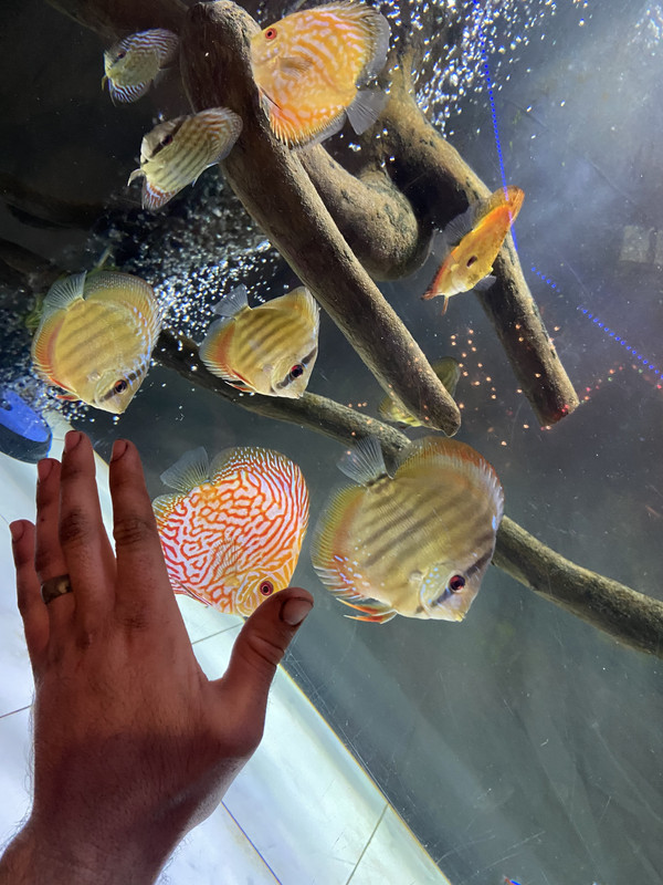 94C99E26-90DD-4EB5-BD32-93F14D4523B5