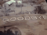 alan-alda-mash.gif
