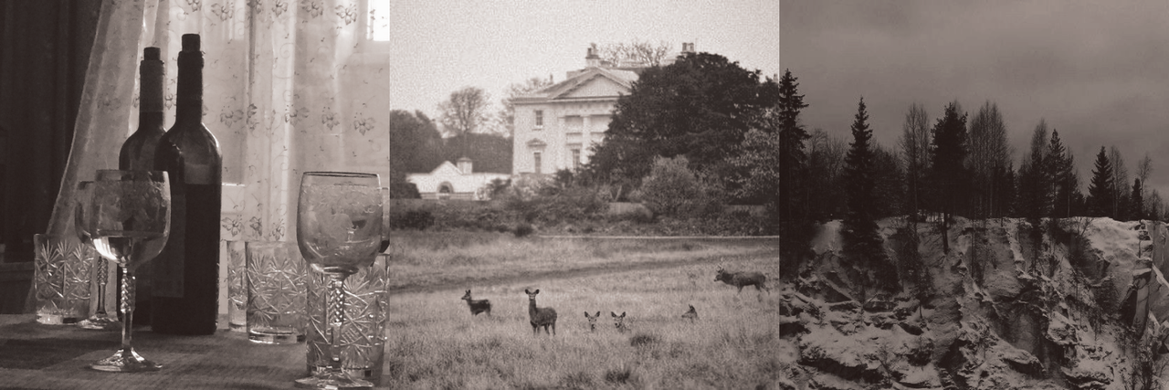 Made by me! Images found on Pinterest.