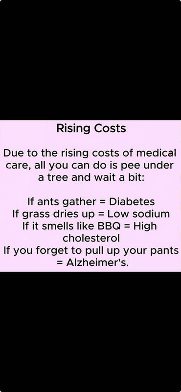 [Image: 558617369-1352913996354781-5174708200907982716-n.jpg]