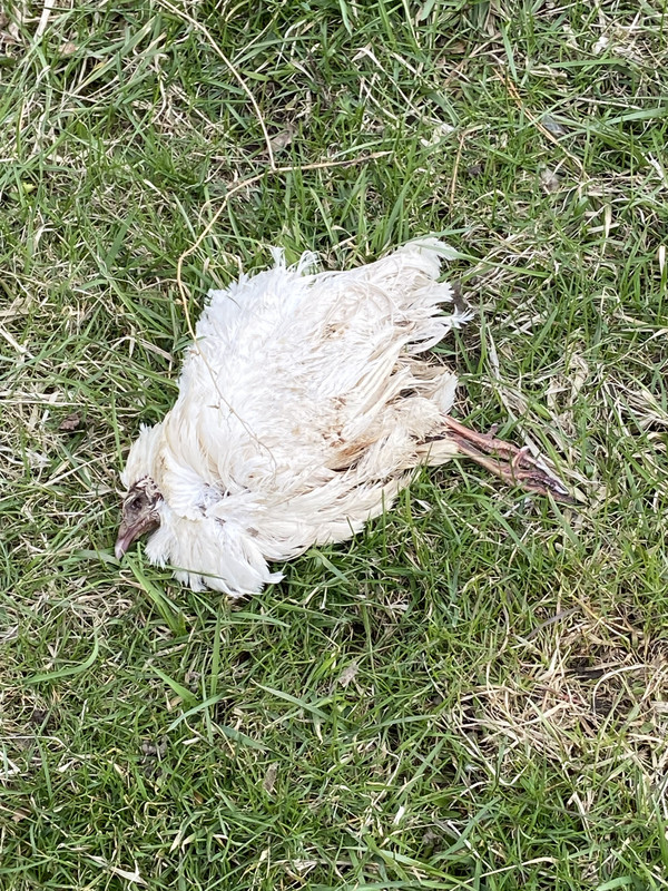 EE450E37-EE8D-4BD1-849B-99EF0A493919