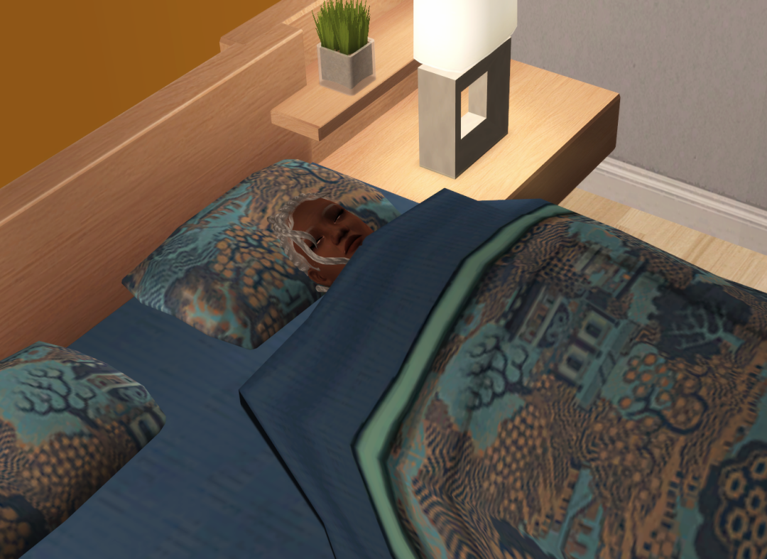 Sims2-EP9-RPC-2023-02-11-09-02-20-30