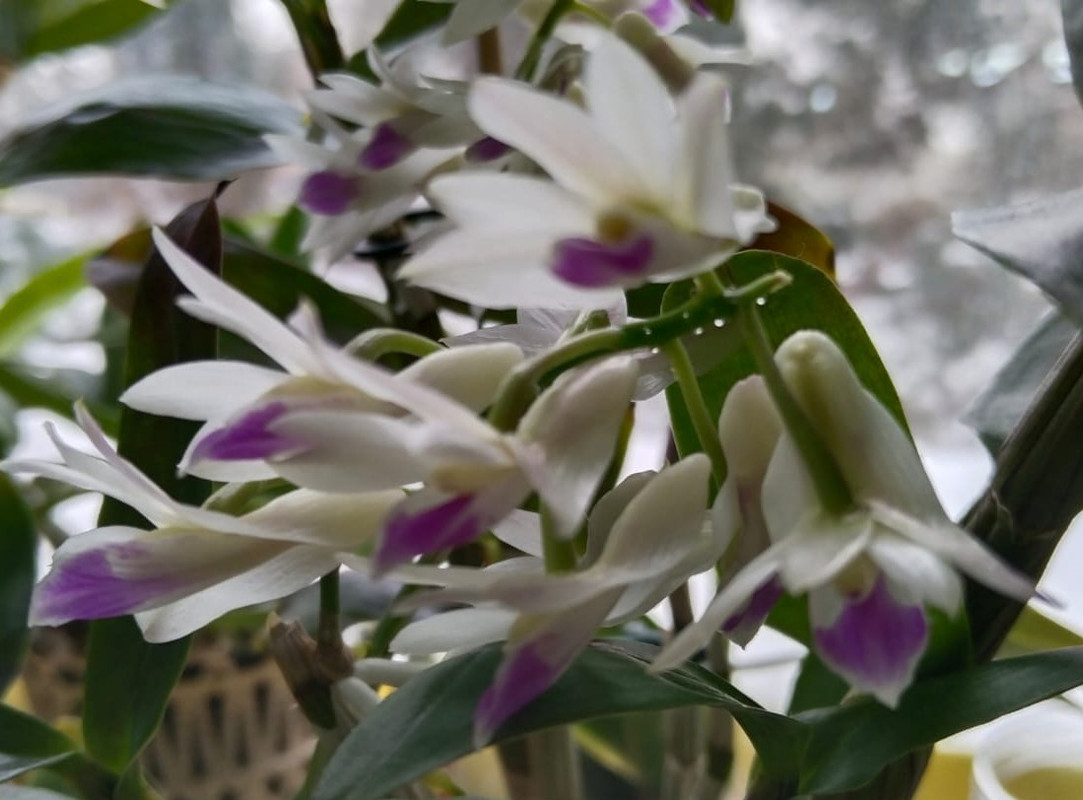 8317a997-0fad-4610-b644-aa1a7dc109c3 (2)