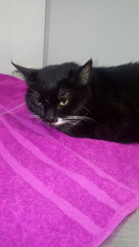 буся ранаты2