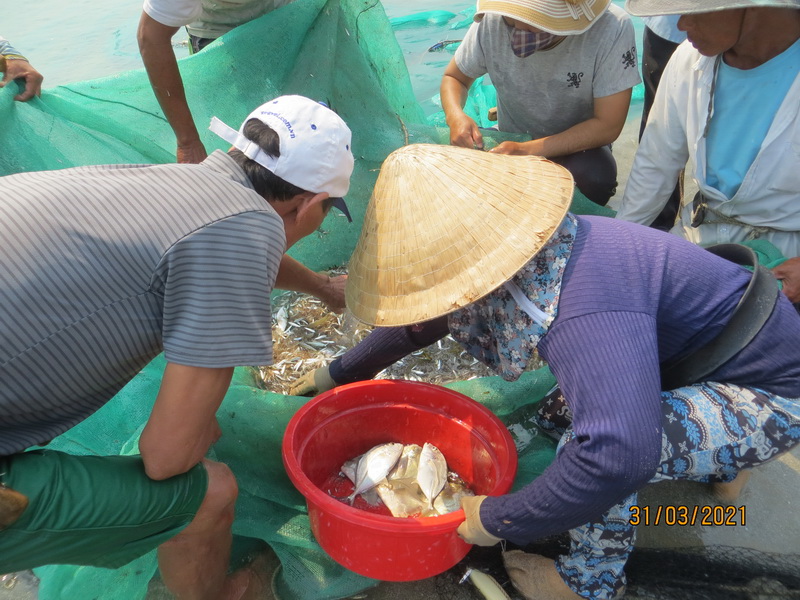 [Image: IMG-8315-resize.jpg]