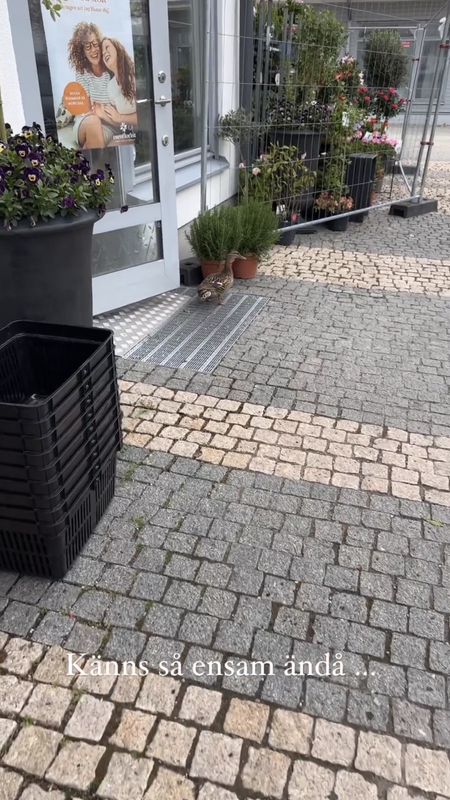 D4653A70-687F-4FA6-A60A-FE7C9ED4AE36