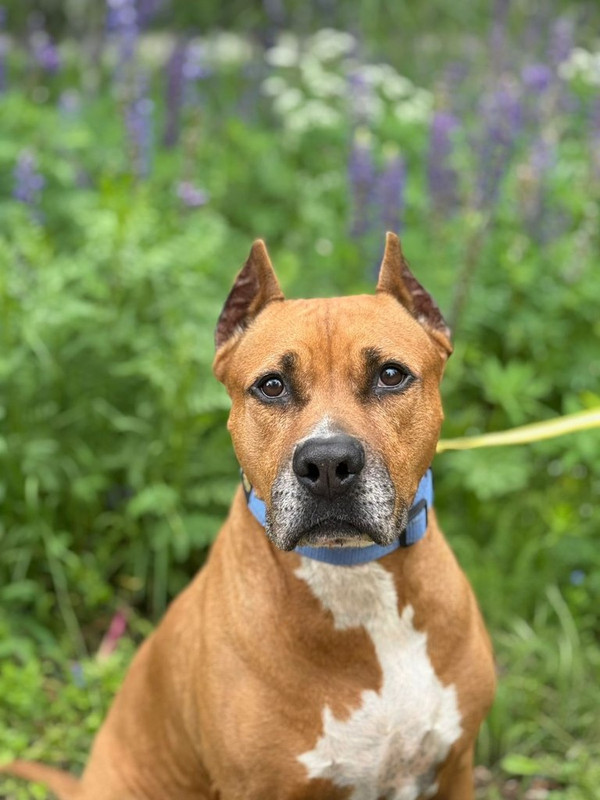 WhatsApp Image 2025-06-20 at 00.21.24 (2)