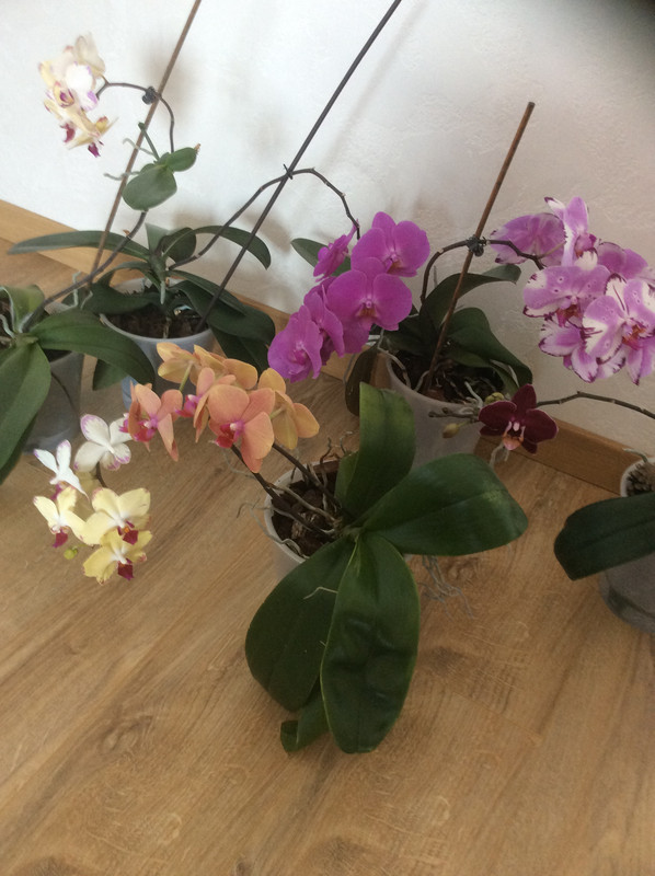 33525C3A-24CB-47AE-BC72-2786605C6939