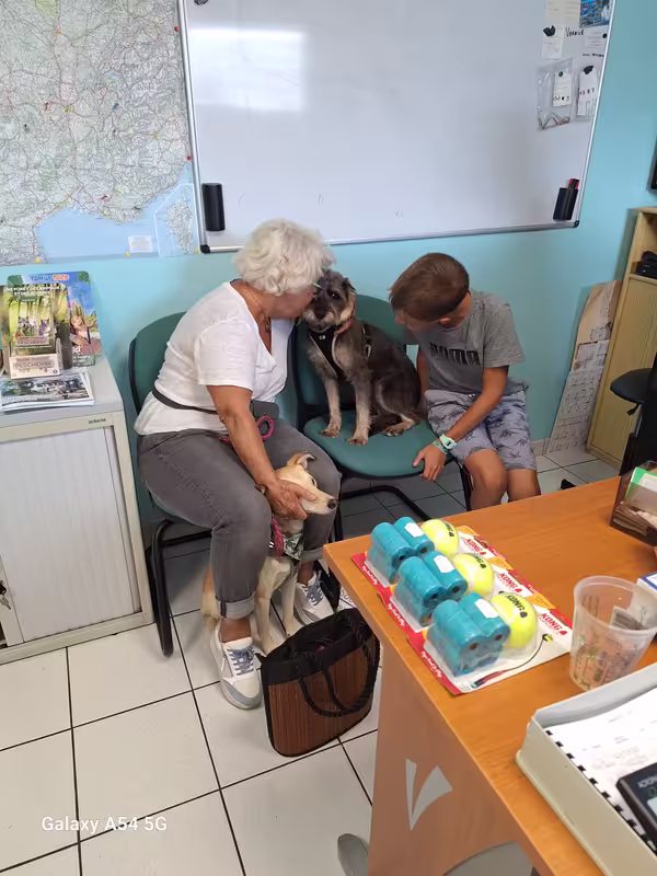 [Image: 20240824-152030.avif]