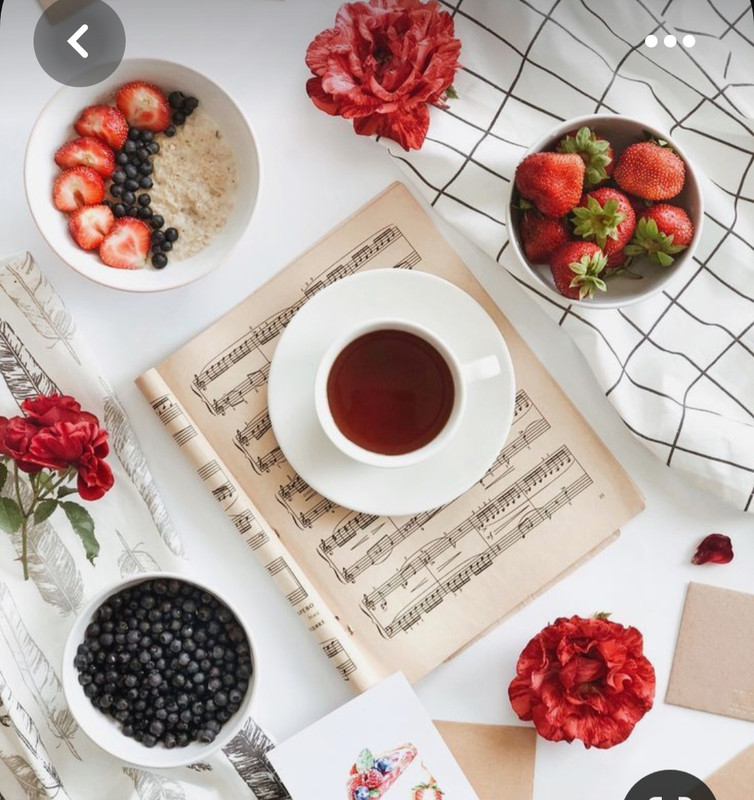 Screenshot_20230328_004144_Pinterest