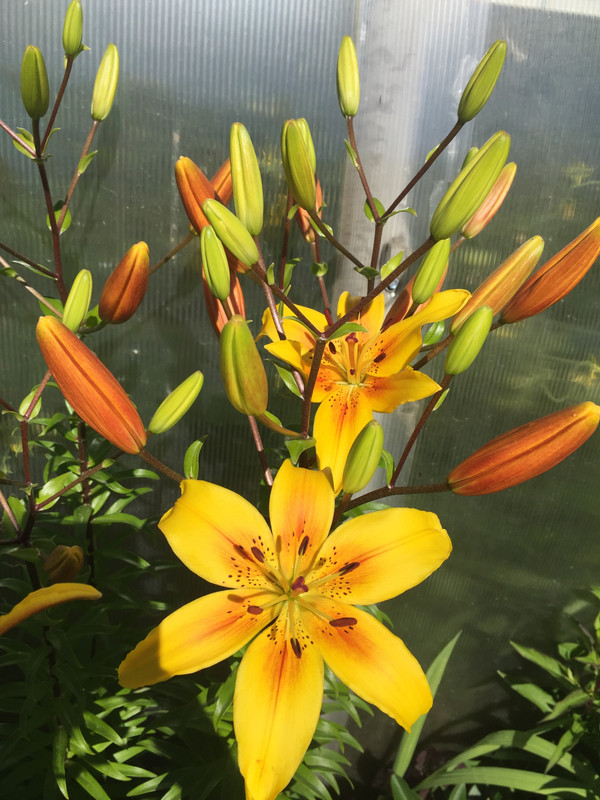 39CAA133-89E0-4DBE-81B7-589EC18BB17E