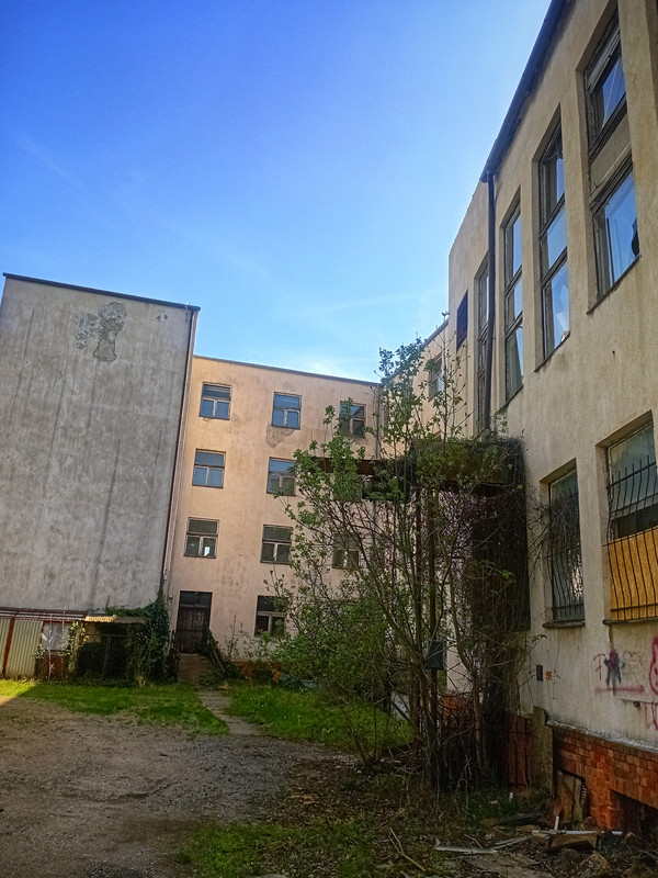 Gallery Image 10