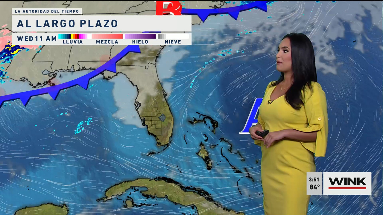 02.01 - 20.00.00 - WINK News at 3pm  ᴺᵉʷ..ts_snapshot_00.58.08.310