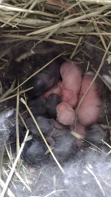 IMG_20250123_112137250