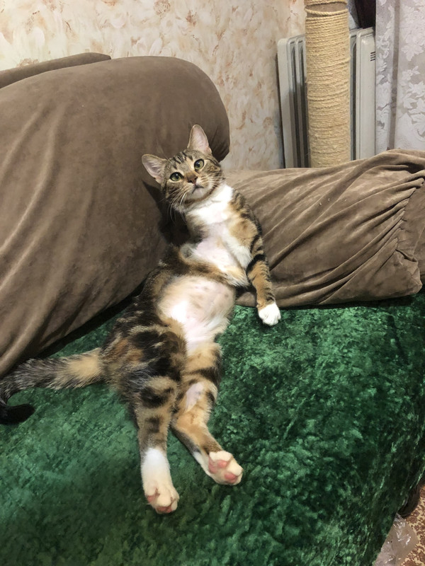 74D6E21F-00FF-4F9A-8196-A4AC21259E34