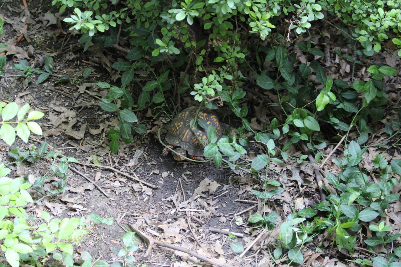 IMG-5834.jpg