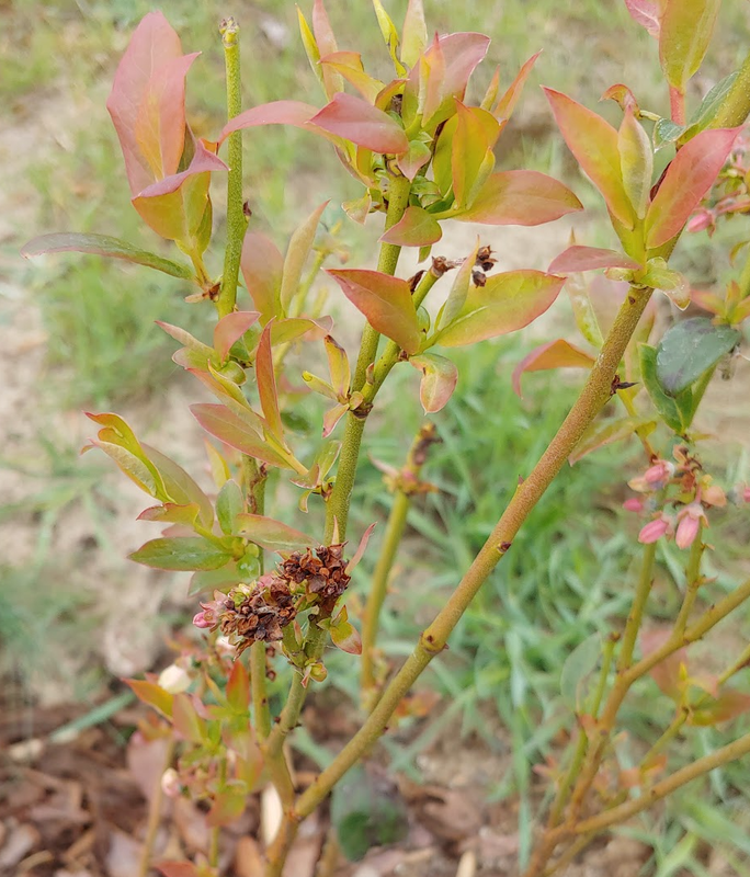 2024-07-04 16_45_09-Zdjęcie - Zdjęcia Google i jeszcze 22 strony — Privat — Microsoft​ Edge