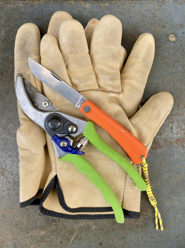 29E3AF57-AFE5-4AEE-A684-7FFE560DAE79