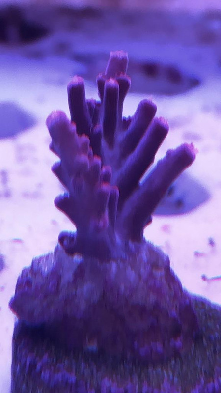 5DB2B242-26F4-4765-B5B0-72DCE4C4F296