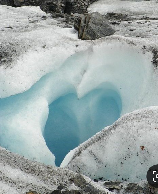 Screenshot_20240214_180527_Pinterest