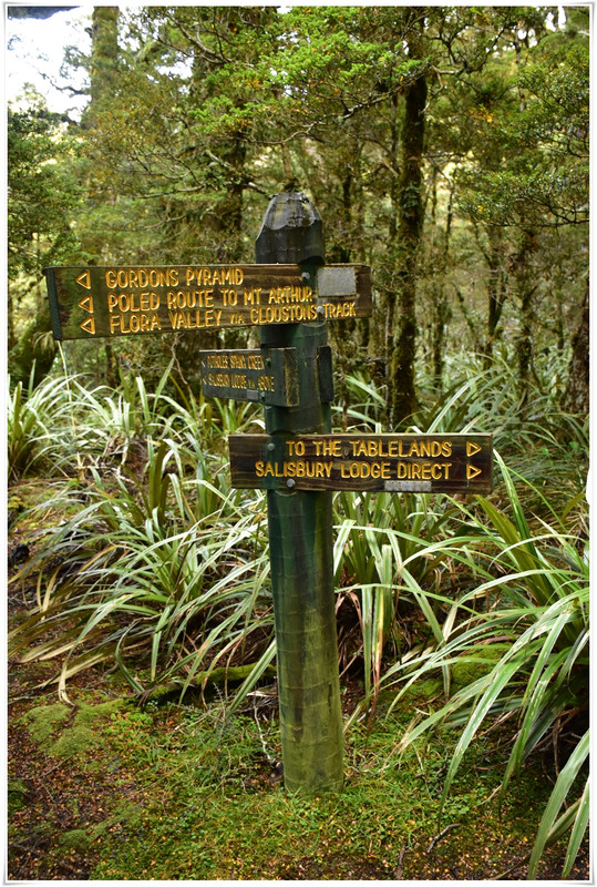 Kahurangi NP: Tableland/Mt Arthur Circuit (abril 2023) - Escapadas y rutas por la Nueva Zelanda menos conocida (18)