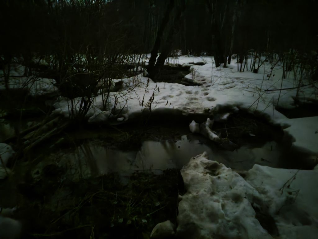 1000013656_20250322075724