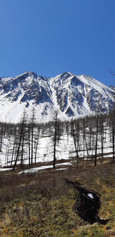 IMG_20190511_143641_698