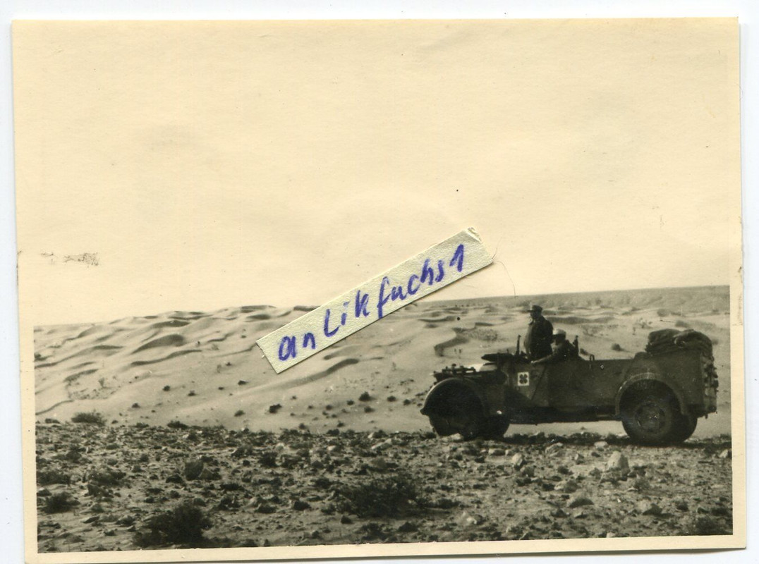 Kübelwagen mit Kleeblatt - Wappen des Afrikakorp