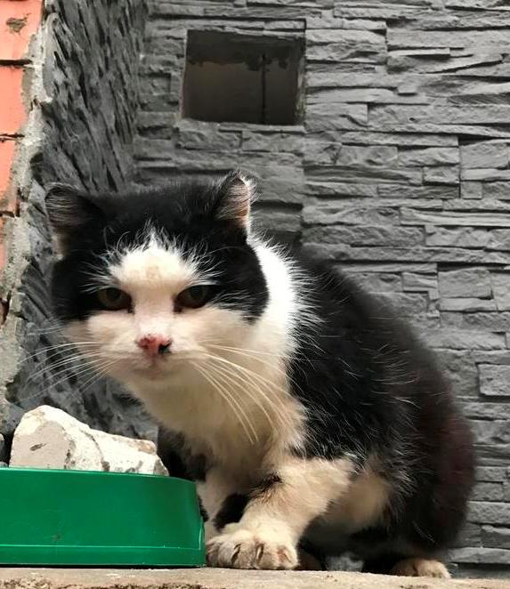 отл47-B3-EE95-272-A-43-A5-A38-F-80-E8-C073-B0-F3