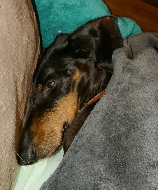 [Image: 20221124-212245.jpg]