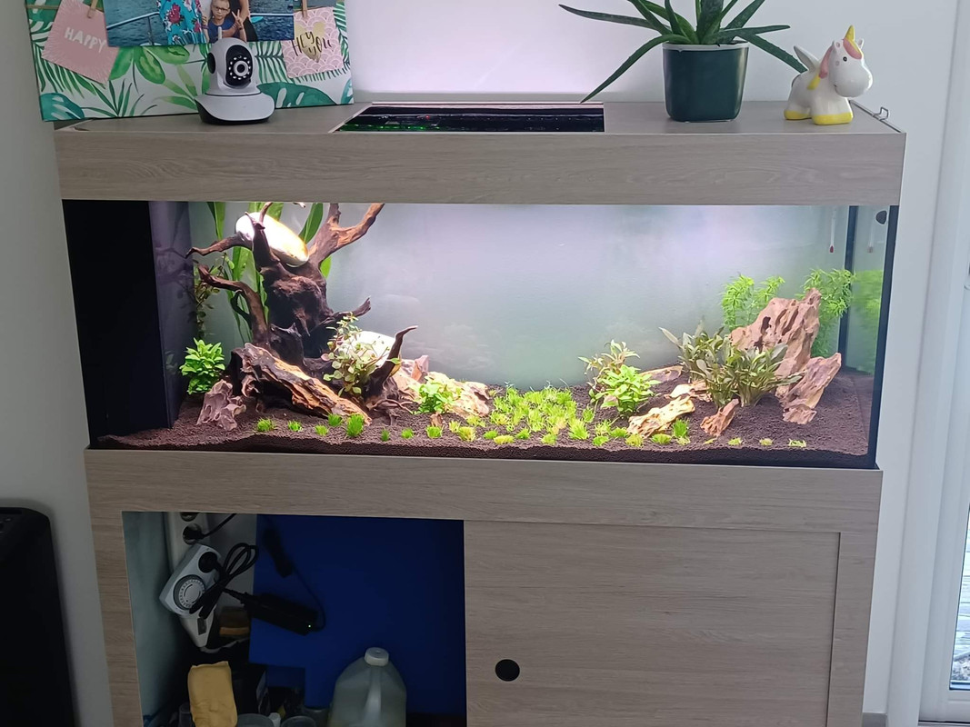 received_605839097563498