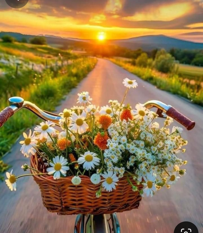 Screenshot_20240527_225835_Pinterest