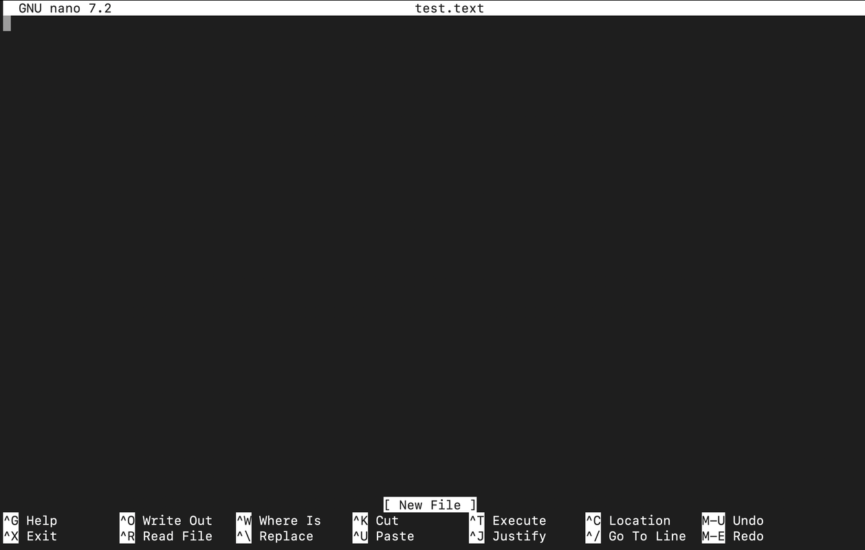 Nano Editor Home