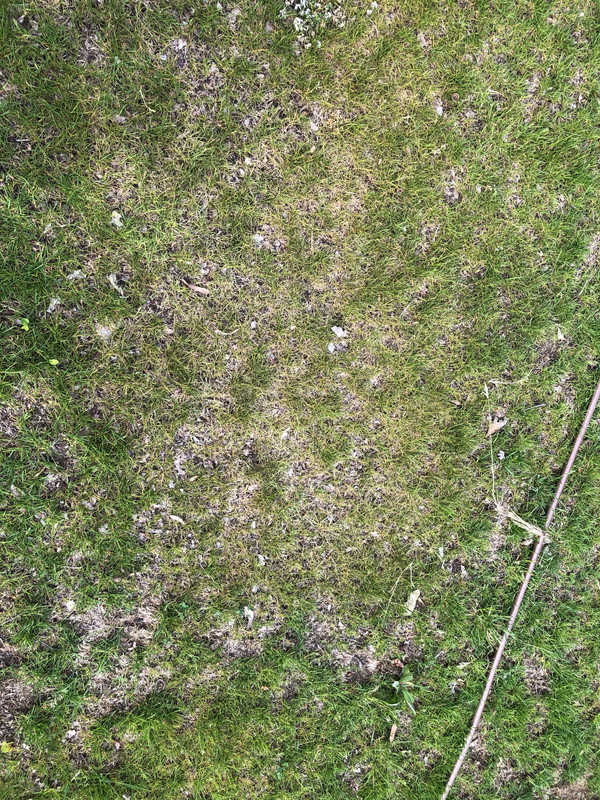 97D49C31-7652-4274-98D7-E13209F36DA9