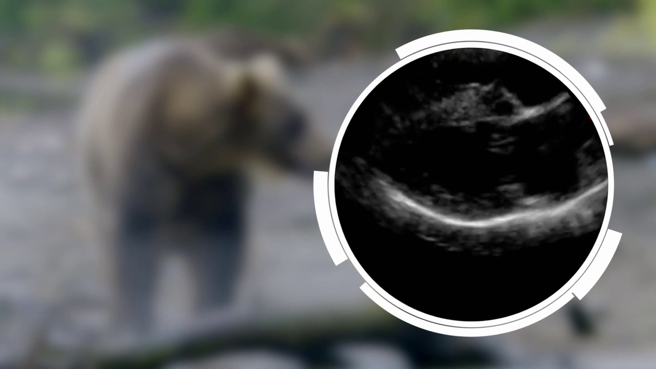 vlcsnap 2026 02 17 09h50m23s452